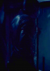 vlcsnap-2015-11-11-01h31m39s131.png