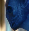 vlcsnap-2015-11-11-01h34m35s197.png