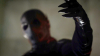 vlcsnap-2015-11-11-02h16m30s897.png