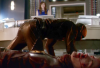 vlcsnap-2015-11-11-02h28m14s640.png