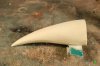 Indominus Rex Tooth WIP (5 of 27).jpg Indominus Rex Tooth WIP (5 of 27).jpg