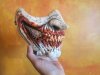 bloody lip 004.JPG