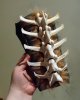 Bracer2.jpg