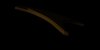 light test 1.JPG