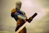 gray_fox_pose_2_by_diegator-d6fbn0a.jpg