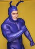 the-tick1.jpg the-tick1.jpg