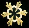 Six_star_rank_pin.jpg Six_star_rank_pin.jpg