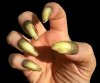 Claws_Orlock_1024x1024.jpg Claws_Orlock_1024x1024.jpg