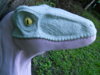 DSCN1505.JPG