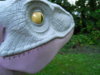 DSCN1508.JPG