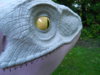 DSCN1509.JPG