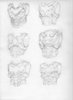 torso027.jpg