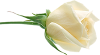 a.png
