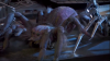 vlcsnap-2014-11-21-10h38m18s51.png