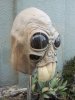 20151118_090357.jpg