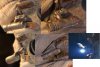 Goggle Lights.jpg