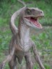 velociraptor_smile_by_yankeetrex-d3jzije.jpg