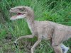 jurassic_park_velociraptor_by_yankeetrex-d3kolzg.jpg