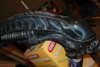 Picture 018.jpg