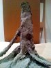 Disney Interactive Yoda - Custom made Display Base - By MasterBlaster - 003.jpg Disney Interactive Yoda - Custom made Display Base - By MasterBlaster - 003.jpg