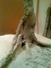 Disney Interactive Yoda - Custom made Display Base - By MasterBlaster - 004.jpg Disney Interactive Yoda - Custom made Display Base - By MasterBlaster - 004.jpg