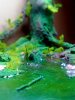 Disney Interactive Yoda - Custom made Display Base - By MasterBlaster - 019.jpg