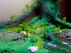 Disney Interactive Yoda - Custom made Display Base - By MasterBlaster - 021.jpg