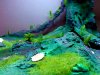 Disney Interactive Yoda - Custom made Display Base - By MasterBlaster - 023.jpg