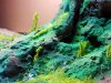 Disney Interactive Yoda - Custom made Display Base - By MasterBlaster - 024.jpg