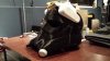 20160131_073411.jpg