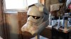 20160215_121147.jpg