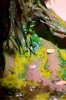 Disney Interactive Yoda - Custom made Display Base - By MasterBlaster - 012.JPG