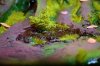Disney Interactive Yoda - Custom made Display Base - By MasterBlaster - 015.JPG
