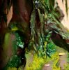 Disney Interactive Yoda - Custom made Display Base - By MasterBlaster - 019.JPG