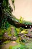 Disney Interactive Yoda - Custom made Display Base - By MasterBlaster - 020.JPG
