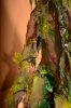 Disney Interactive Yoda - Custom made Display Base - By MasterBlaster - 024.JPG