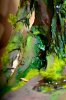 Disney Interactive Yoda - Custom made Display Base - By MasterBlaster - 025.JPG