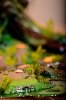 Disney Interactive Yoda - Custom made Display Base - By MasterBlaster - 027.JPG