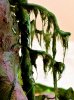 Disney Interactive Yoda - Custom made Display Base - By MasterBlaster - 034.JPG