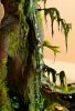 Disney Interactive Yoda - Custom made Display Base - By MasterBlaster - 035.JPG