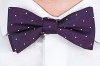 dw_50th_bowtie.jpg