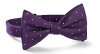 1802_doctor_who_purple_bowtie.jpg