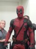 cffc42601632a276-IMG_0984.JPG