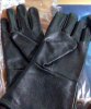Gloves_delivered01.jpg