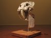 SaberToothCat-013.jpg SaberToothCat-013.jpg