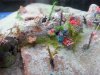 Undersea Plane Wreckage Diorama - 019.jpg