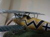 DSC04283.JPG