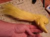 20160221_194105.jpg