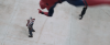 shooter spidey.png