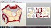 chest.JPG
